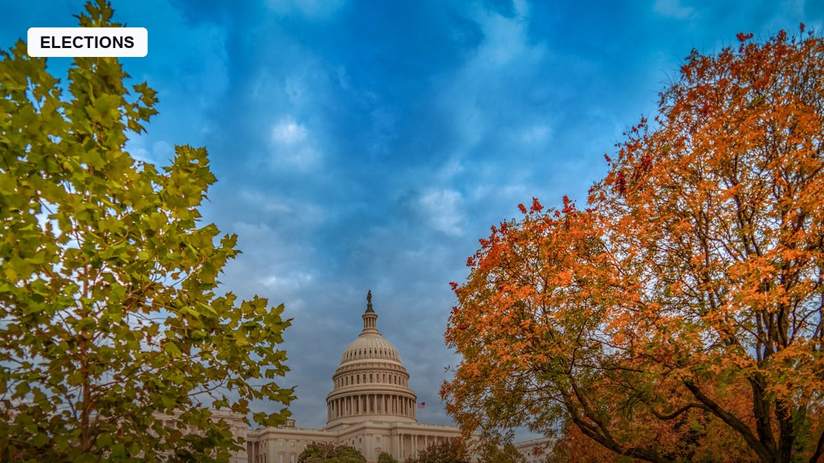 electionnewsdesk