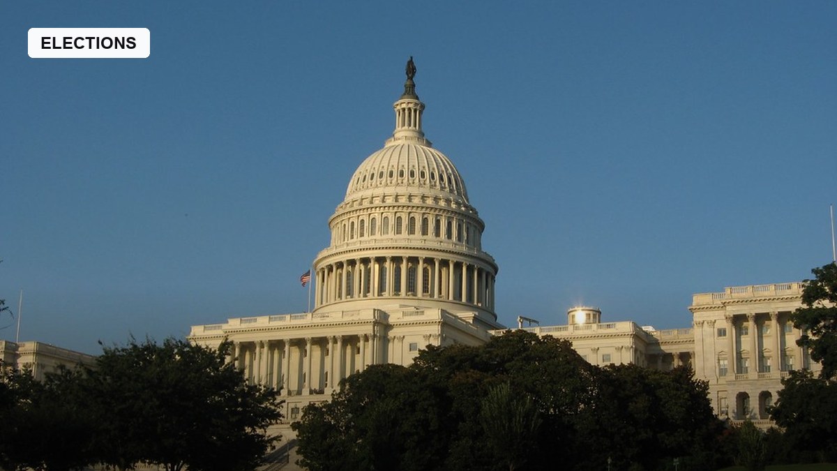 electionnewsdesk