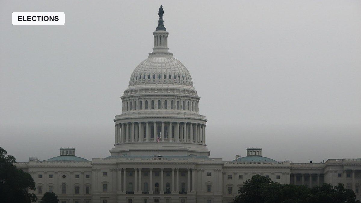 electionnewsdesk